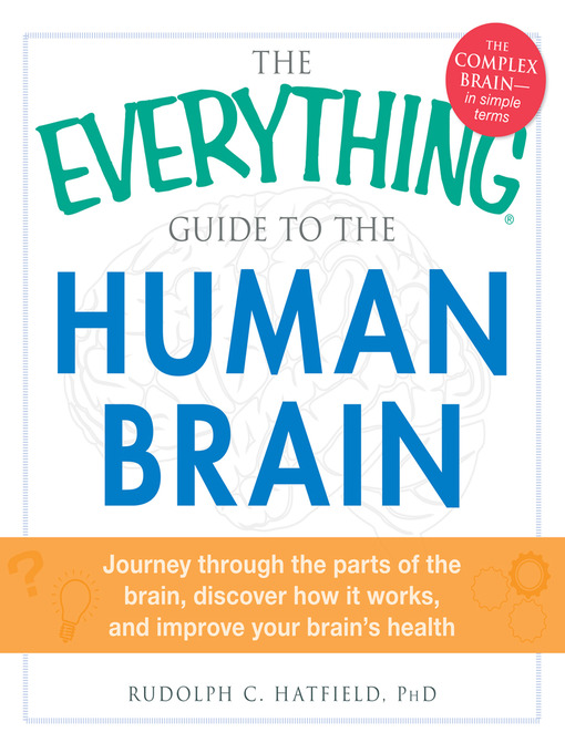 Cover image for The Everything Guide to the Human Brain